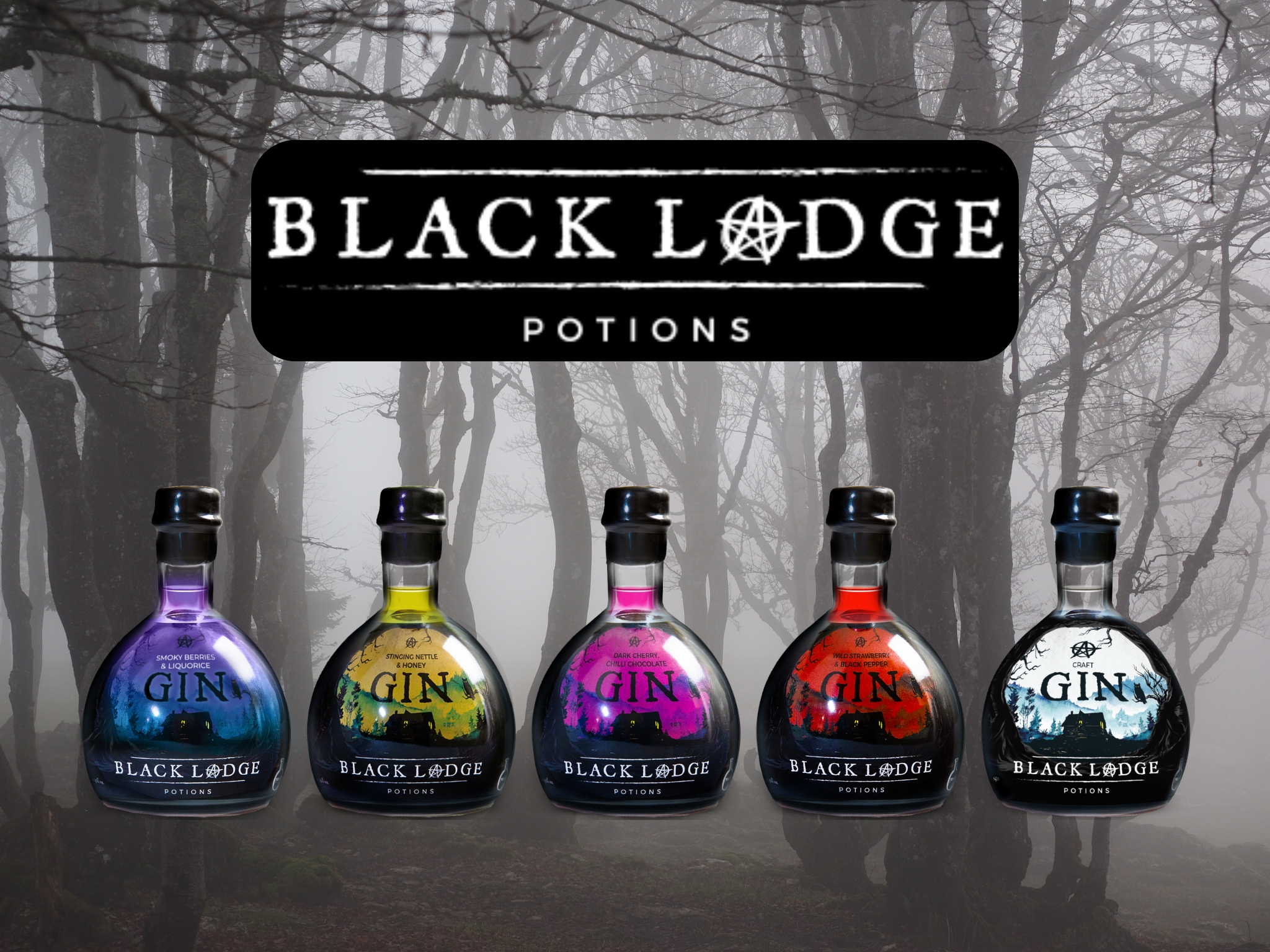 Black Lodge Potions Gin Night